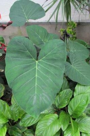 Cover of Elephant Ears Garden Plant Journal