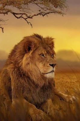 Book cover for Watchful Lion on the Savanna Grasslands Journal