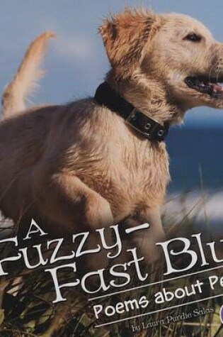Cover of A Fuzzy-Fast Blur