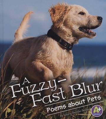 Cover of A Fuzzy-Fast Blur