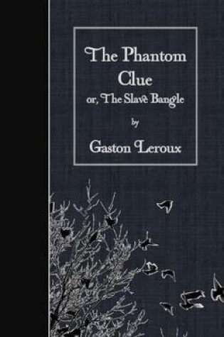 Cover of The Phantom Clue