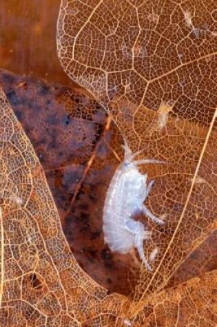 Cover of Science Theme Journal Small Crustacean On Leaf Hyalella Azteca