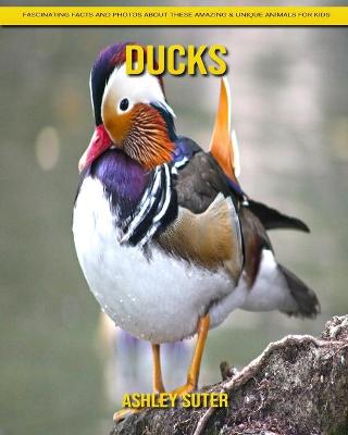 Book cover for Ducks