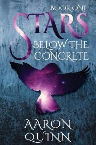 Cover of Stars Below the Concrete