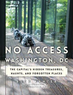 Book cover for No Access Washington, DC