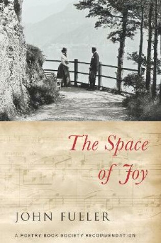 Cover of The Space of Joy