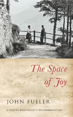 Book cover for The Space of Joy