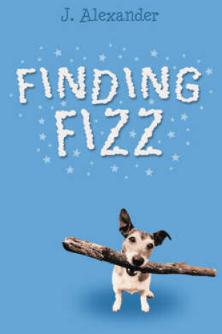 Cover of Finding Fizz