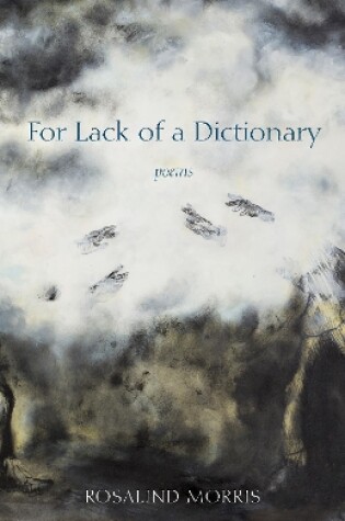 Cover of For Lack of a Dictionary