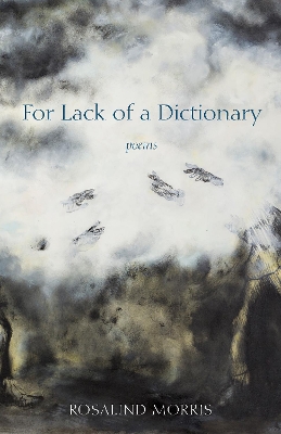 Book cover for For Lack of a Dictionary