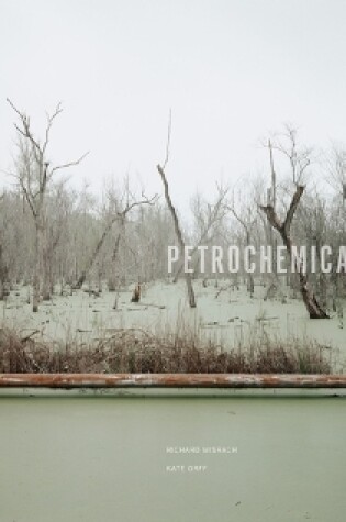 Cover of Petrochemical America