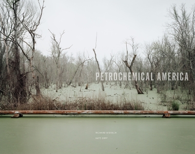 Book cover for Petrochemical America