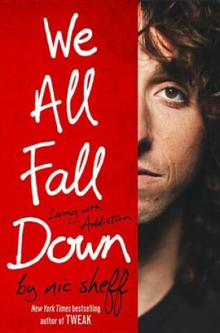 Cover of We All Fall Down