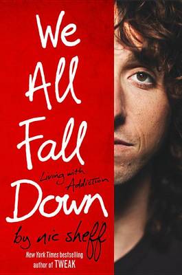 Book cover for We All Fall Down