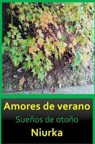 Cover of Amores de Verano