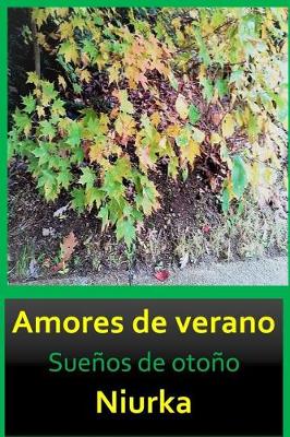 Book cover for Amores de Verano