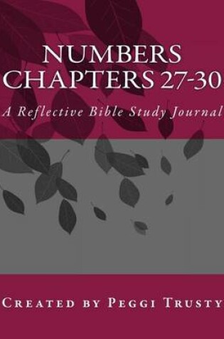 Cover of Numbers, Chapters 27-30