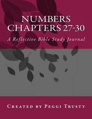 Book cover for Numbers, Chapters 27-30