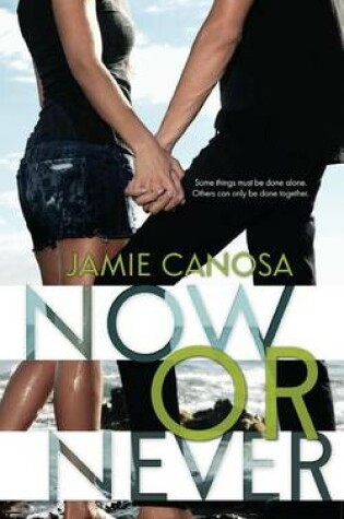 Cover of Now or Never