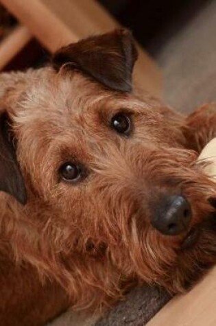 Cover of Irish Terrier Relaxing Inside Journal