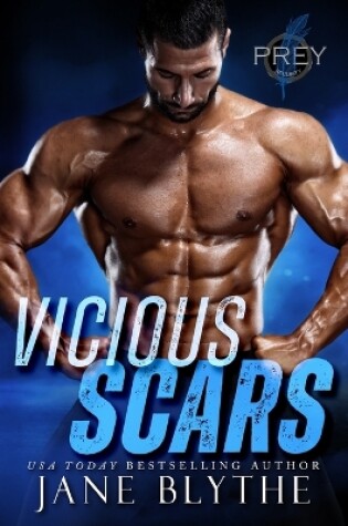 Cover of Vicious Scars
