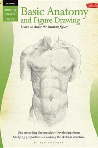 Cover of Drawing: Basic Anatomy and Figure Drawing