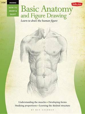 Book cover for Drawing: Basic Anatomy and Figure Drawing