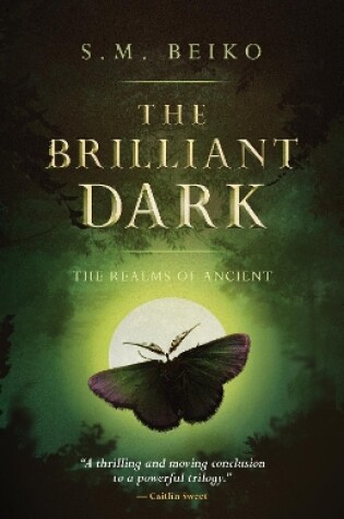 Cover of The Brilliant Dark