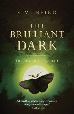 Book cover for The Brilliant Dark