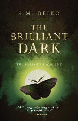 Cover of The Brilliant Dark