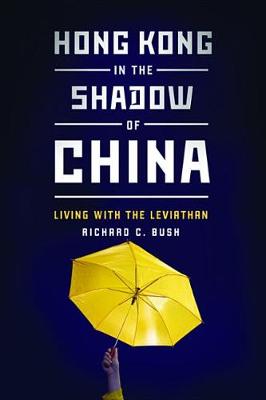 Book cover for Hong Kong in the Shadow of China