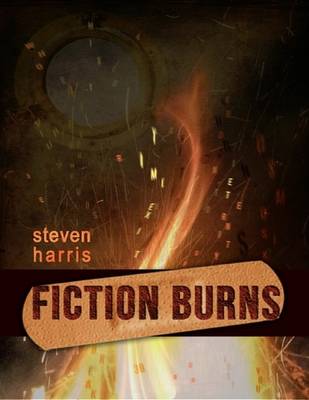 Book cover for Fiction Burns