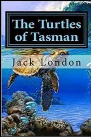 Cover of The Turtles of Tasman illustrated