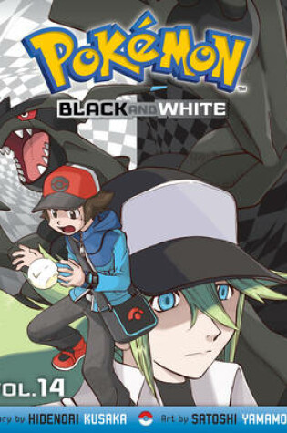 Cover of Pokémon Black and White, Vol. 14