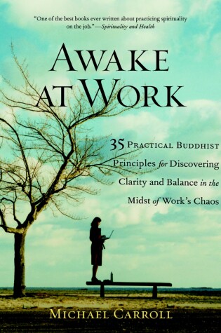 Cover of Awake at Work