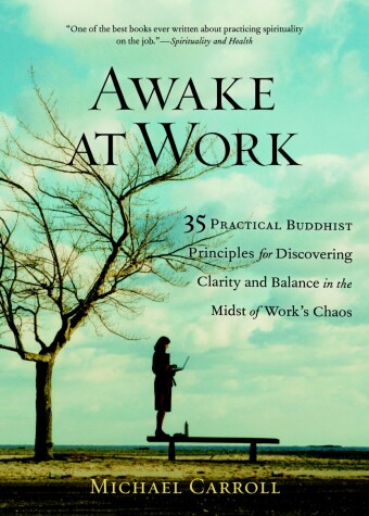 Book cover for Awake at Work