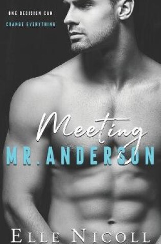 Cover of Meeting Mr Anderson