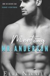 Book cover for Meeting Mr Anderson