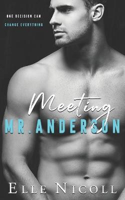 Cover of Meeting Mr Anderson