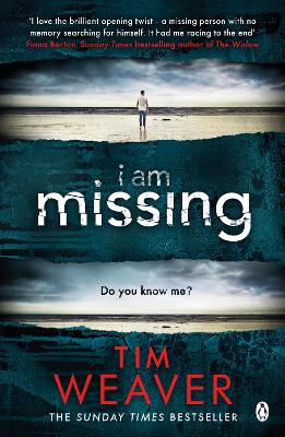 Book cover for I Am Missing