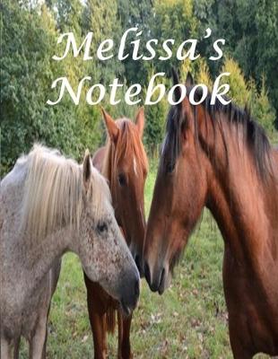 Book cover for Melissa's Notebook