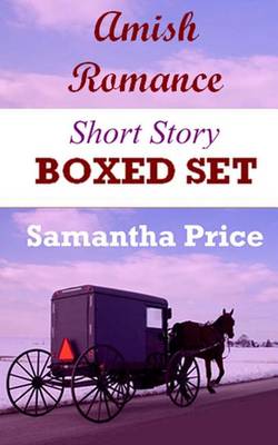 Book cover for Amish Romance Short Story Boxed Set
