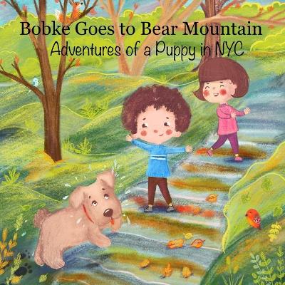 Book cover for Bobke Goes to Bear Mountain
