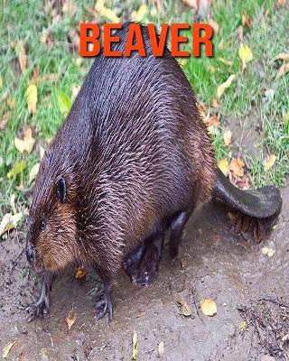 Book cover for Beaver