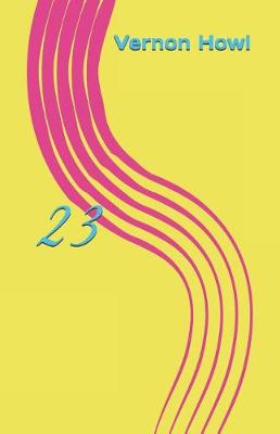 Book cover for 23