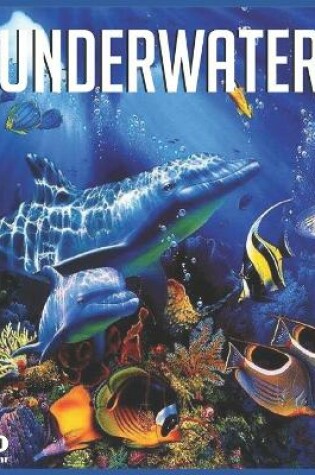 Cover of Underwater 2021 Wall Calendar