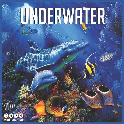 Book cover for Underwater 2021 Wall Calendar