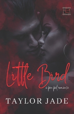 Book cover for Little Bird