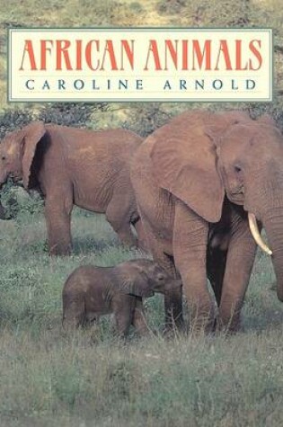 Cover of African Animals