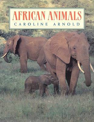 Book cover for African Animals